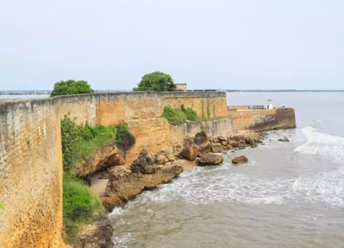 Gujarat Wild Life and Beach Tour