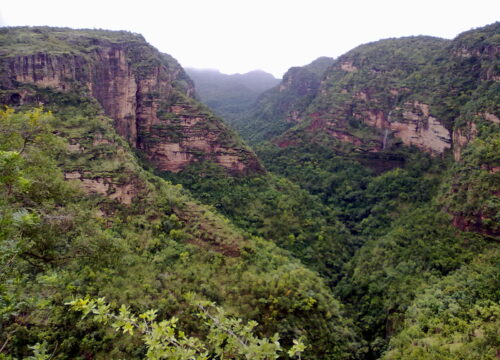 Pachmarhi Hills with Satpura Forest